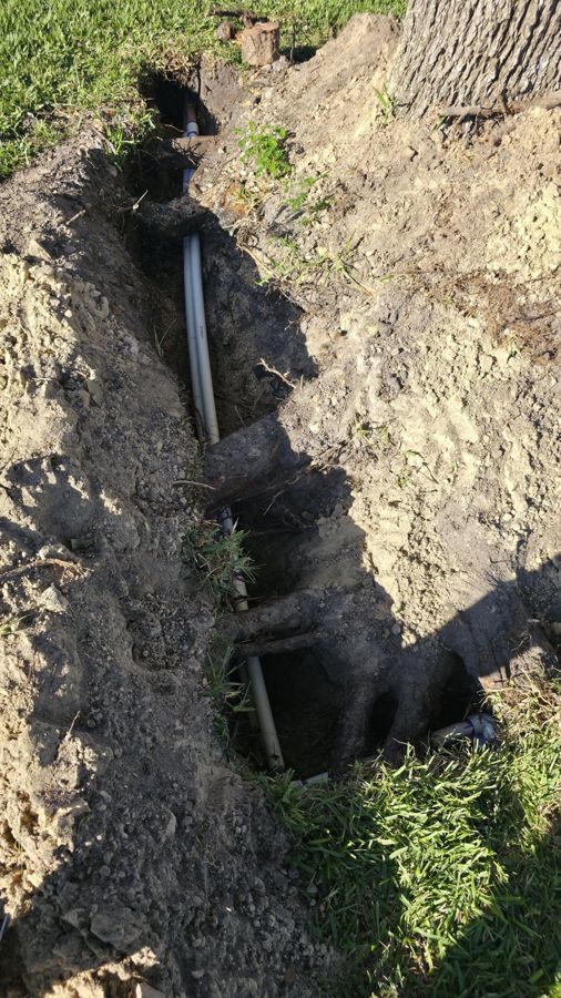 Trench along the tree