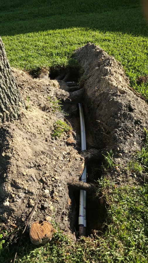 Roots over white PVC